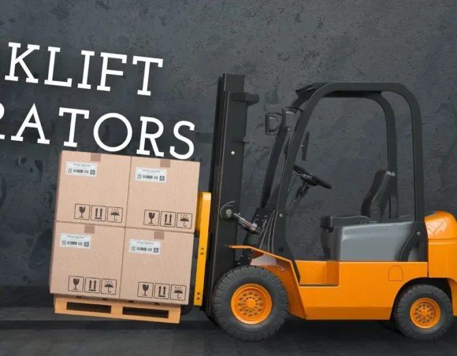 Exploring the Role of (Stivuitorist) Forklift Operators in Romania.