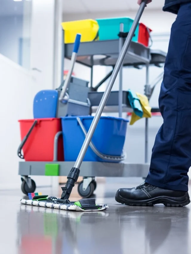2024 |Cleaning Staff Vacancy in European Countries