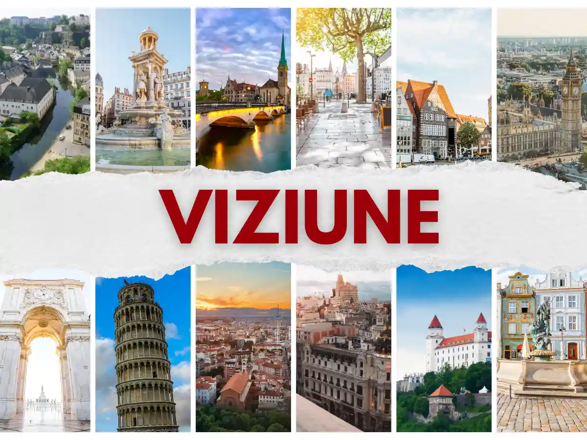 BCM viziune
