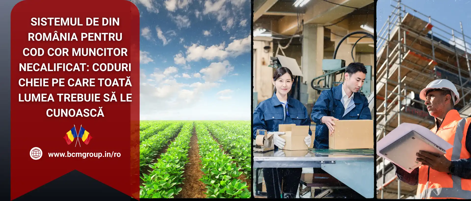 cod cor muncitor necalificat in România pe care toată lumea ar trebui să-l cunoască