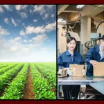 Sistemul de din România pentru cod cor muncitor necalificat: Coduri cheie pe care toată lumea trebuie să le cunoască