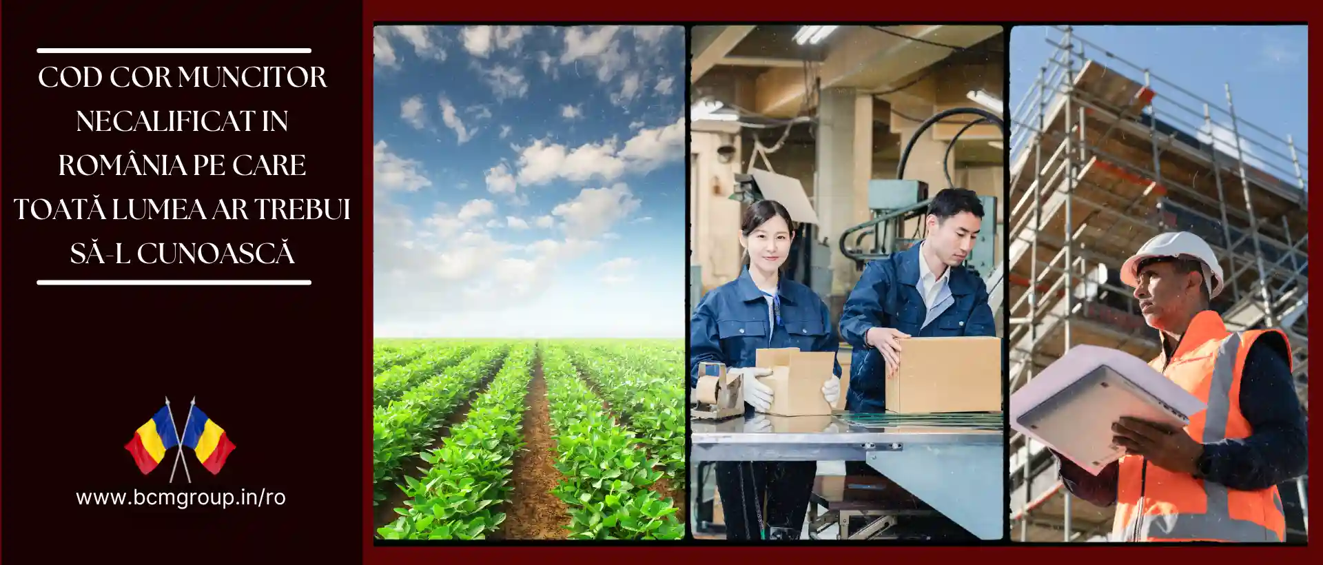 cod cor muncitor necalificat in România pe care toată lumea ar trebui să-l cunoască